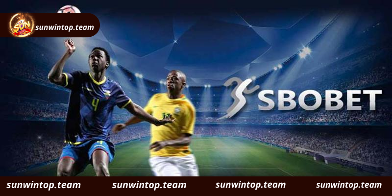 Tìm hiểu SBOBET Sunwin chi tiết